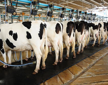 Colombia podrá exportar a la Unión Europea productos que contengan leche nacional